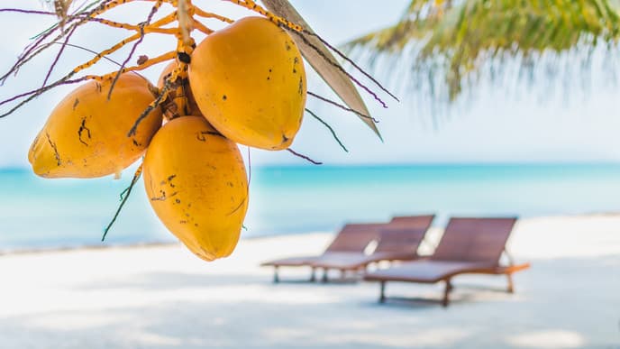 Relish Time at Leisure