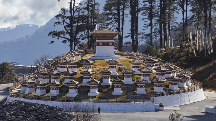 Punkaha - The Palace of Bliss