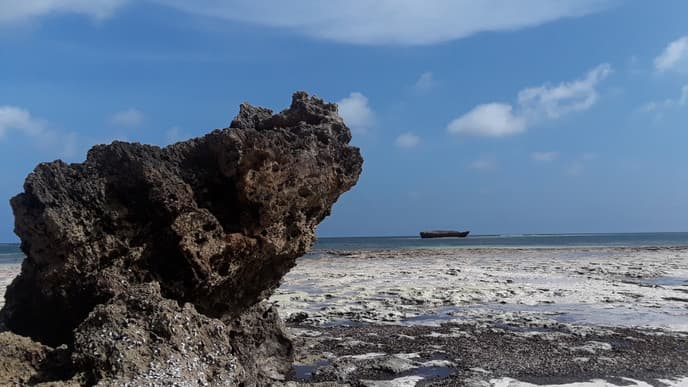Have Fun at the Watamu Marine National Park