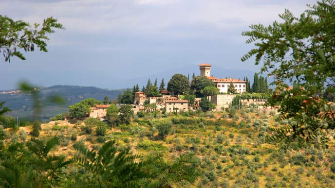 Into the charming Chianti countryside