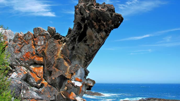 Nationalpark an der Garden Route