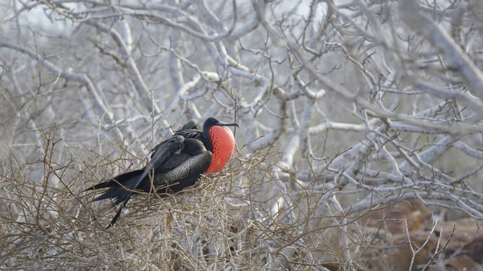 Insel und Tierwelten hautnah