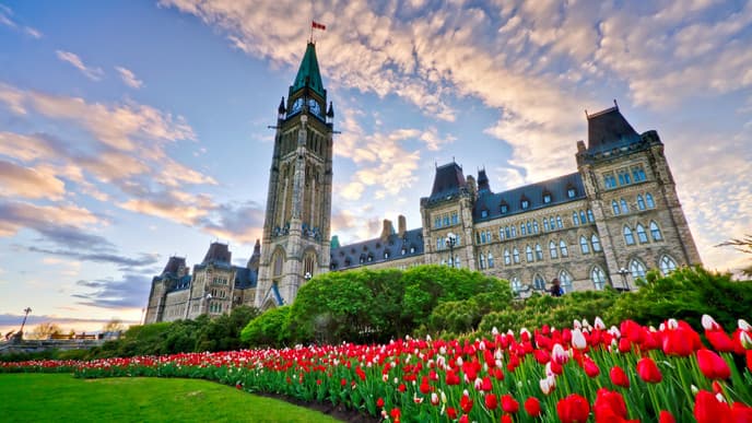 Discover past & present