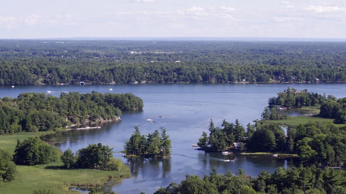 Kingston - where history and innovation thrive