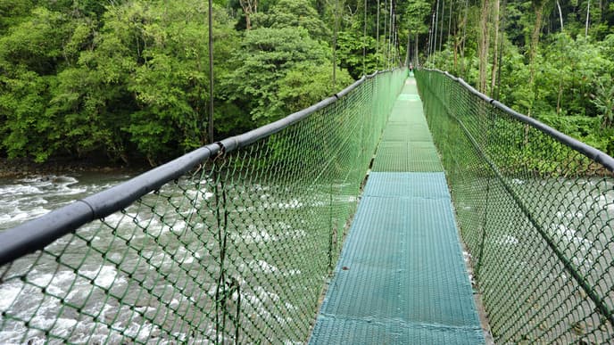 Enriching cacao & horseback experiences