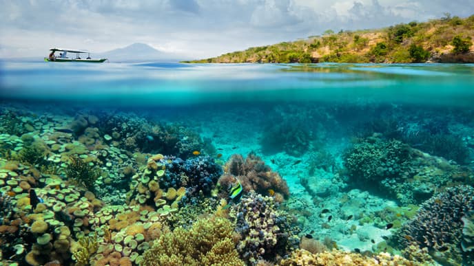 The paradise island of Menjangan