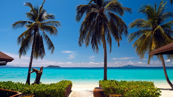 Luxuriate on the beach