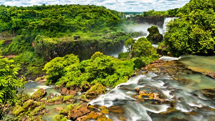Brazilian falls, birds & BBQ