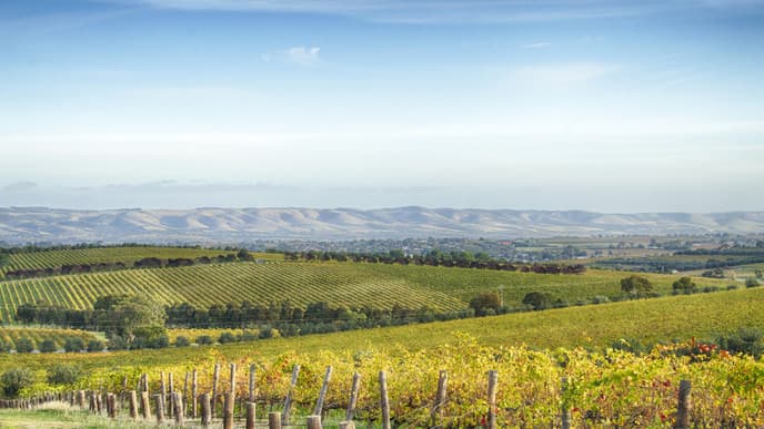 Journey to the Fleurieu Peninsula