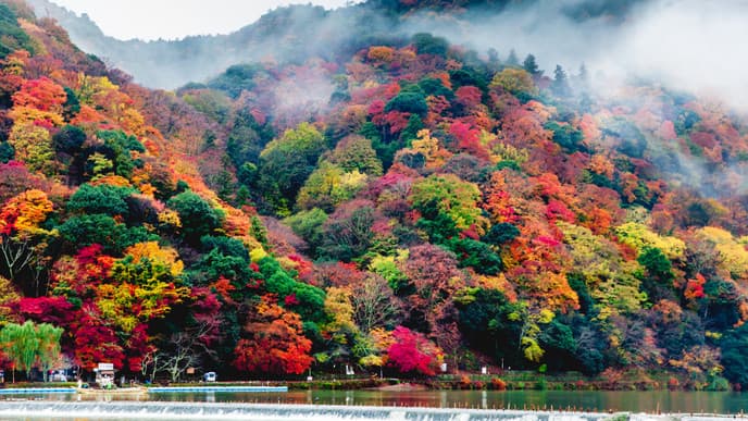 Einzigartige Natur und Meditation