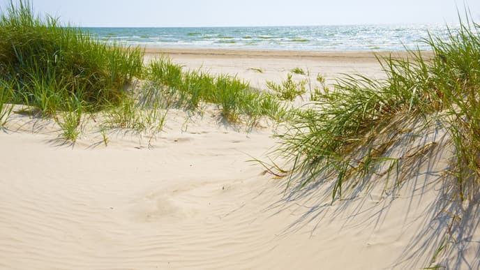 Soak Up Latvia's Seaside