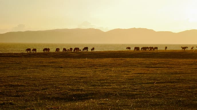 Zu Gast bei den herzlichen Nomaden