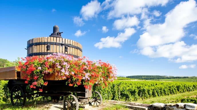 Enjoy Intimate Visits to Côte de Beaune Wineries