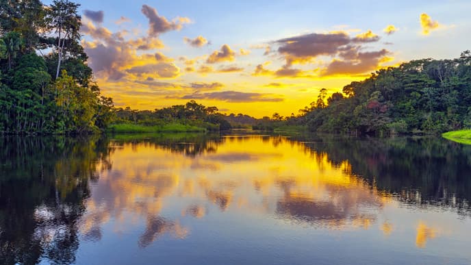 Ein Tag im Zeichen der Tiere