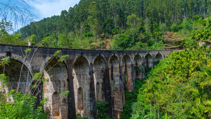 Teeplantagen und geheimnisvolle Statuen