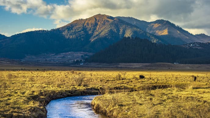 Phobjikha- The Valley of Black Necked Cranes