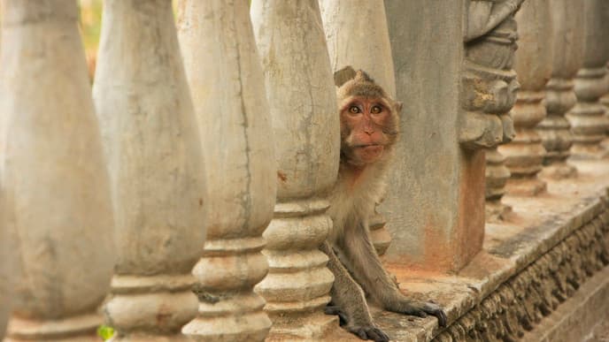 From Phnom Penh to Battambang
