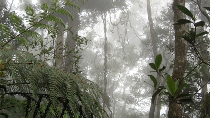 Into the heart of Bajos del Toro