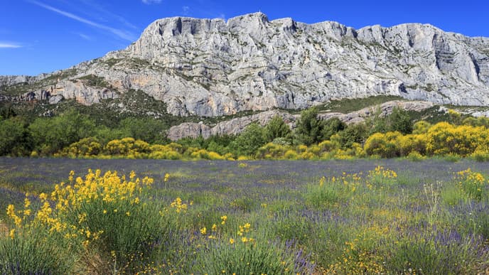 A day of artistic inspiration & local flavors