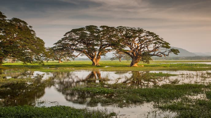 Jeep-Safari im Yala-Nationalpark