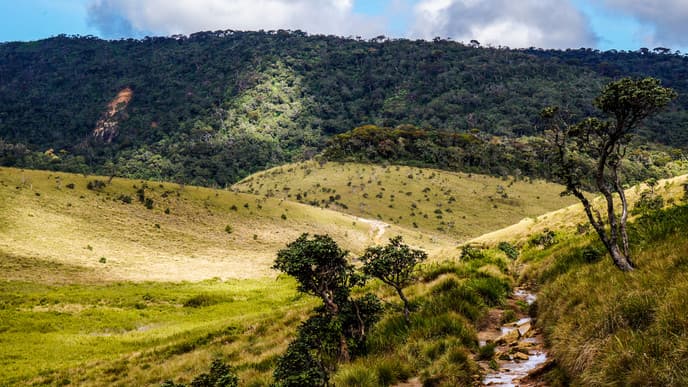 Explore Horton Plains And Gaze At the Horizon