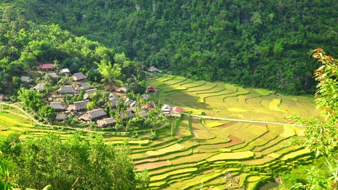 Hike through tumbling rice terraces