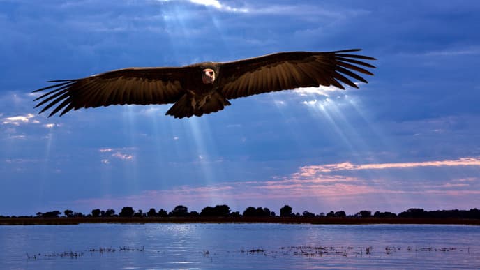 Angeln, Pirschfahrten oder am Pool entspannen