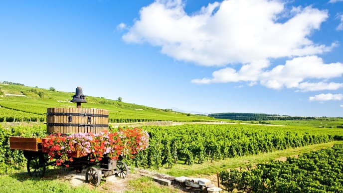 Dive into wine-making traditions in Beaune