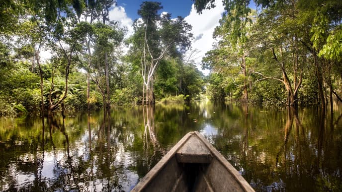 Explore the Amazon's many riches