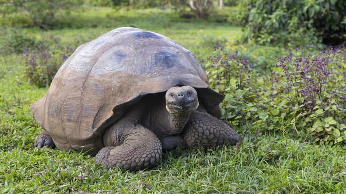 Travel to Santa Cruz