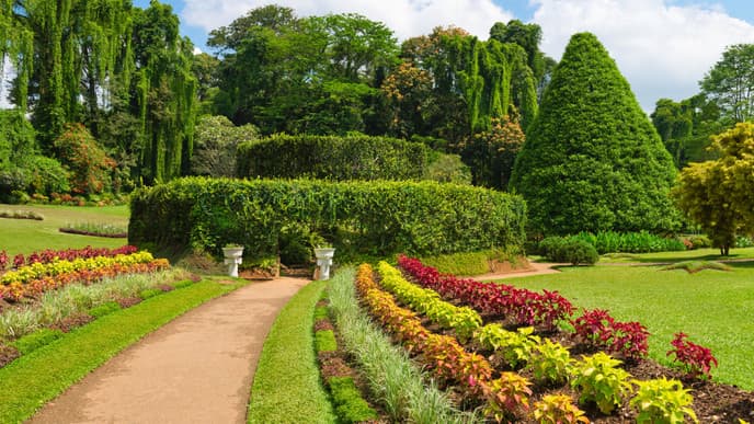 The green hills of Kandy