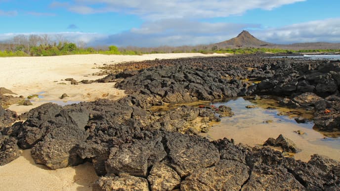 A day exploring the Galapagos