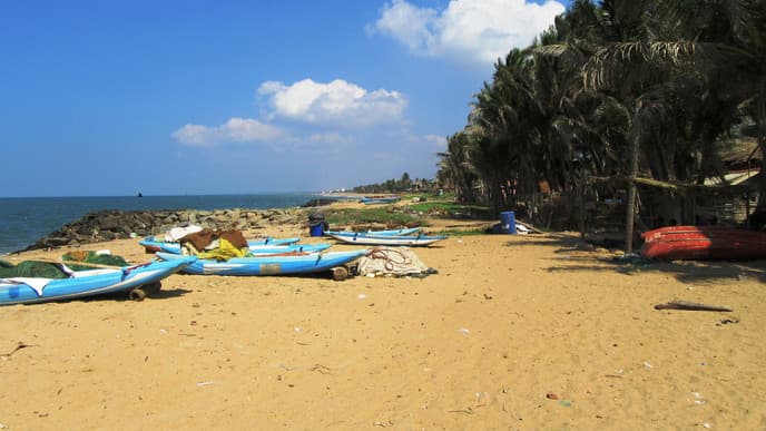 Journey to the coast