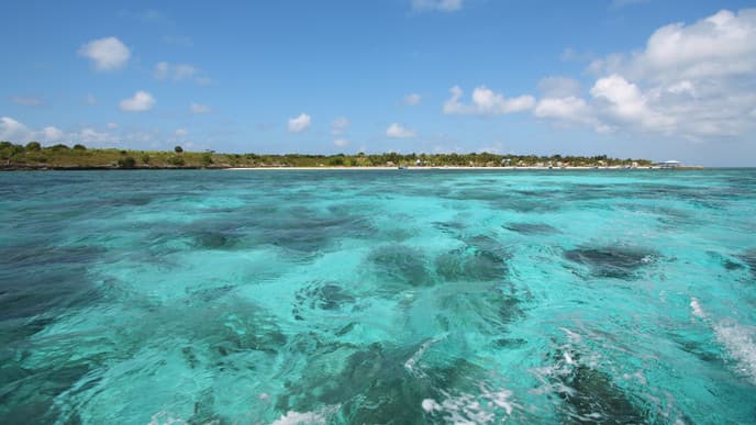 Explore an underwater haven