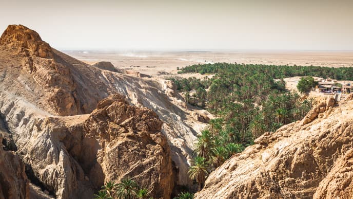 Wonderful day through the magical oases