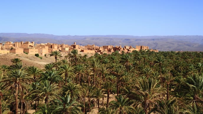 Explore the Sahara on camelback