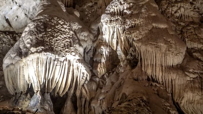 Wanderung durch den Torfsumpf und spannende Höhlen