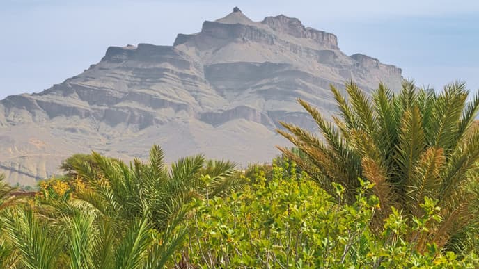 Witness the sand dunes at sunrise