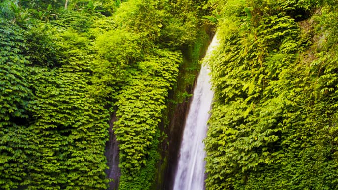 Spannendes Trekking zu den tropischen Wasserfällen