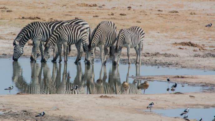 Journey to Southern Africa