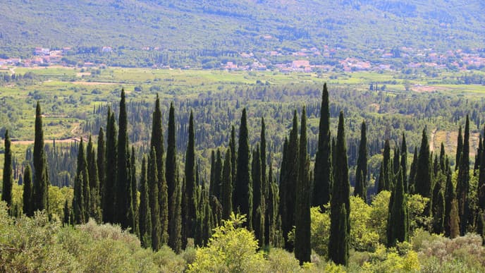 Trip to the village of Konavle