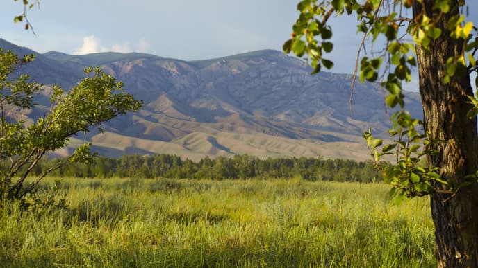 Überwindung des Bergpasses Too Aschuu