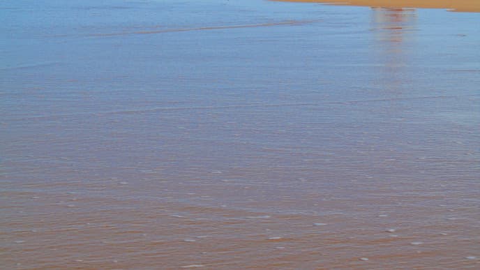 Die Highlights von Essaouira