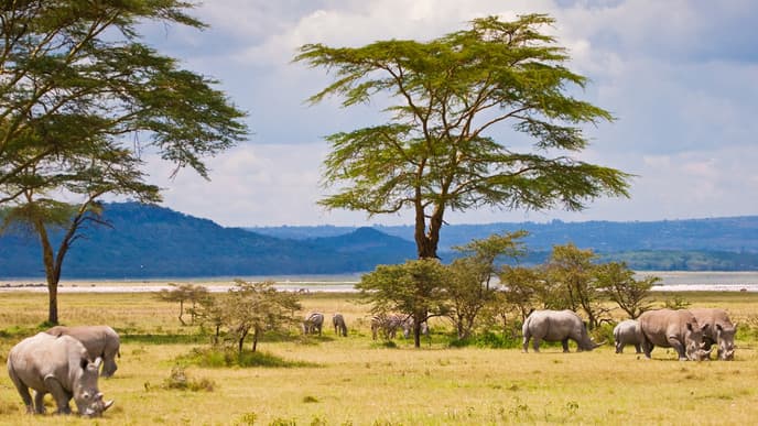 Go Bird Watching at Lake Baringo
