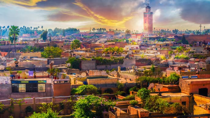 Journey Back to Marrakech