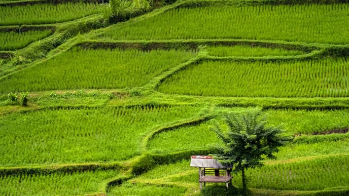 Traumhafte Landschaften