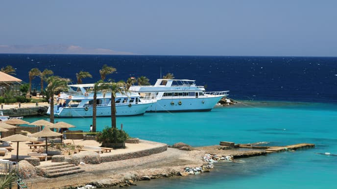 Ein Paradies am Roten Meer