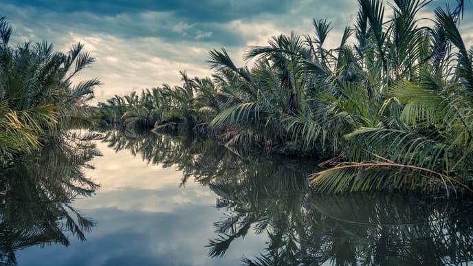 Rock temples & lagoon cruising in Tangalle