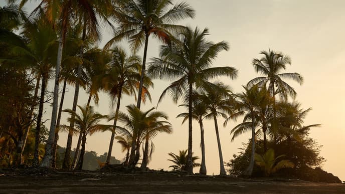 Immerse Yourself in the Culture of Afrocolombian Communities