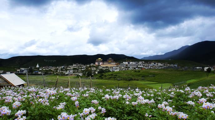 Goodbye, Shangri-La!